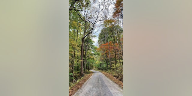 Depending on the weather, the second and third weeks of October are typically the best times for fall color in Hart County. (Credit: Horse Cave/Hart County Tourism)