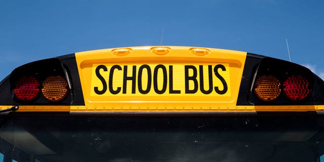 This file photo shows a yellow school bus.  