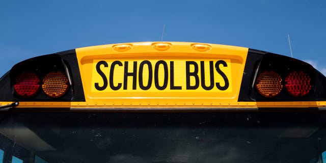 This file photo shows a yellow school bus.  