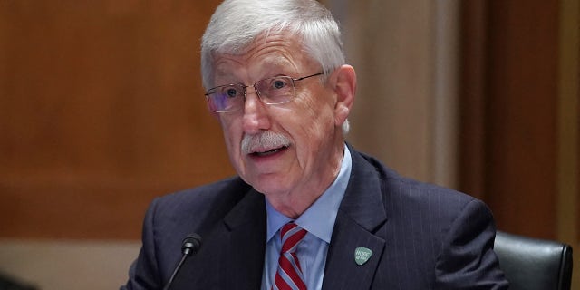 National Institutes of Health Director Dr. Francis Collins testifies before a hearing on Capitol Hill on May 26, 2021.