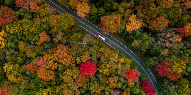 Peak color on the Highland Scenic Highway is typically in early October.  (West Virginia Department of Tourism)