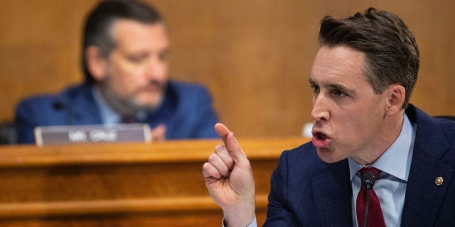 Senator Josh Hawley, a Republican from Missouri, asks a follow-up question to Merrick Garland, U.S. attorney general, as he testifies before a Senate Judiciary Committee hearing in Washington, D.C., U.S., October 27, 2021. Tom Brenner/Pool via REUTERS