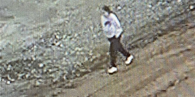 Investigators last year found surveillance footage from Dec. 23 that showed Hejji walking alone on the Armargosa Trail near the front base of Black Mountain.
