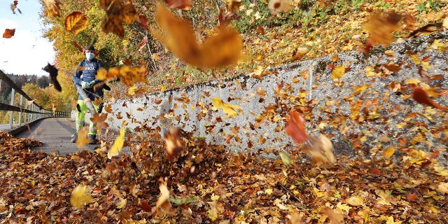 A worker wearing a protective mask uses a blower to remove leafs from a walkway during sunny autumn weather near Stallikon, Switzerland October 27, 2020. REUTERS/Arnd Wiegmann