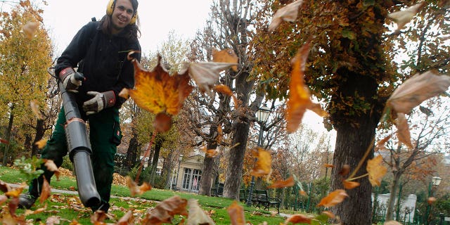 A gardener uses a leaf blower to clean a park in Vienna November 14, 2014. REUTERS/Heinz-Peter Bader (AUSTRIA - Tags: ENVIRONMENT)