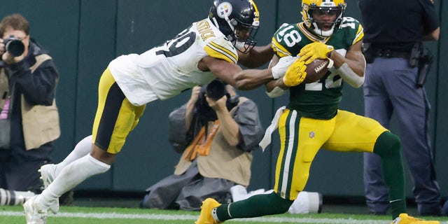 Green Bay Packers' Randall Cobb catches a touchdown pass in front of Pittsburgh Steelers' Minkah Fitzpatrick during the second half of an NFL football game Sunday, Oct. 3, 2021, in Green Bay, Wis.