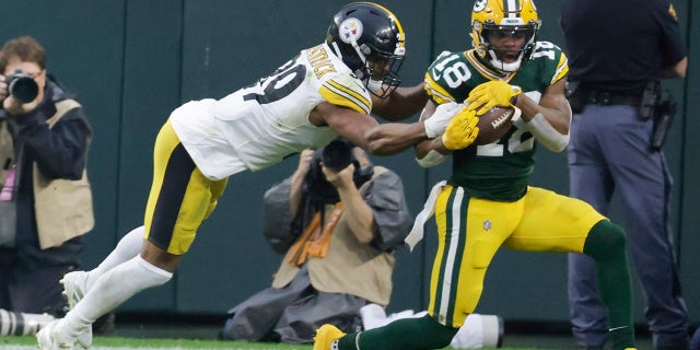 Green Bay Packers' Randall Cobb catches a touchdown pass in front of Pittsburgh Steelers' Minkah Fitzpatrick during the second half of an NFL football game Sunday, Oct. 3, 2021, in Green Bay, Wis.