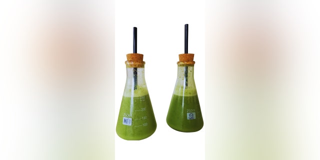Karen Aronian shares it "green monster" Halloween smoothie recipe with Fox News.