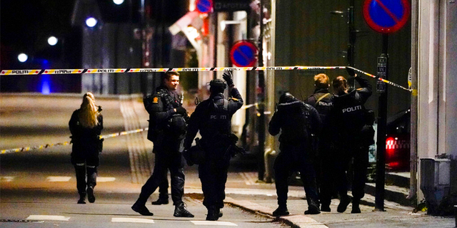 Police at the scene after an attack in Kongsberg, Norway, Wednesday, Oct. 13, 2021.