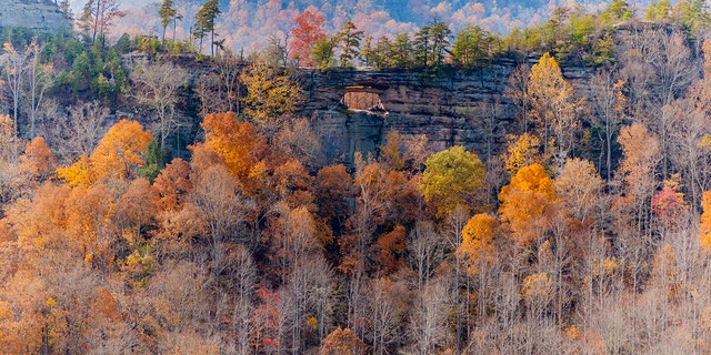 Autumn in Red River Gorge in Kentucky. 