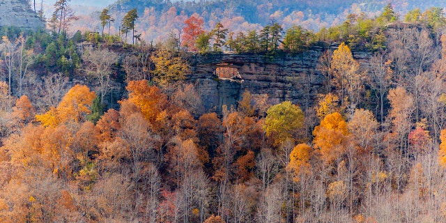 Autumn in Red River Gorge in Kentucky. 