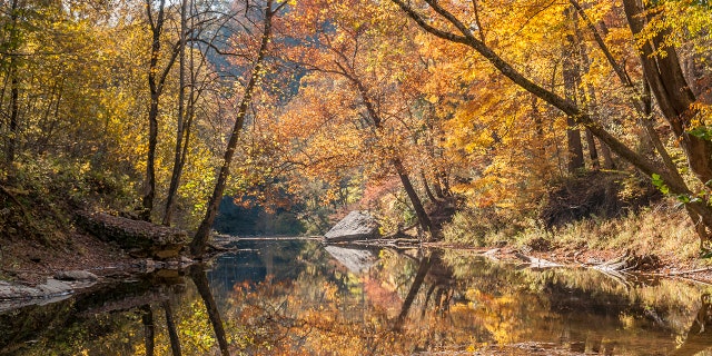 A colorful autumn scene in the Red River Gorge of Kentucky.