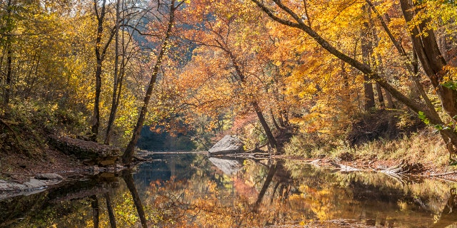 A colorful autumn scene in the Red River Gorge of Kentucky. 