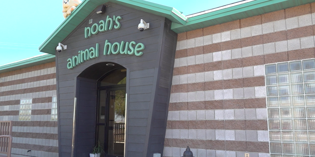 Noah's Animal House was founded in 2007 to help survivors of domestic violence stay united with their pets.  (Ashley Soriano / Fox News)