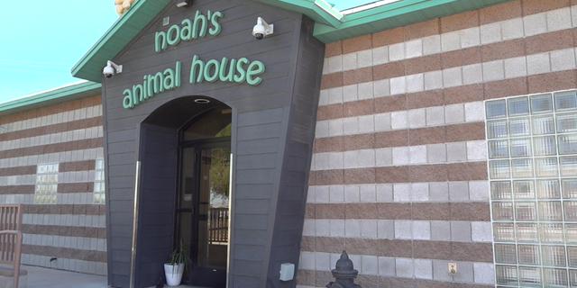 Noah's Animal House was founded in 2007 to help survivors of domestic violence stay united with their pets.  (Ashley Soriano / Fox News)