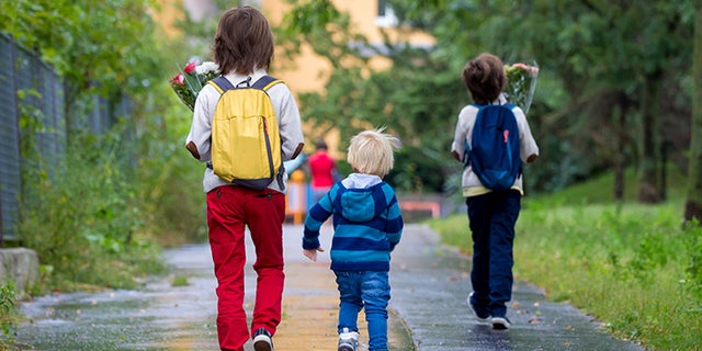 mps public schools mps public schools