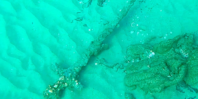 In this photo provided by Israel's Antiquities Authority, an ancient sword is seen after it was discovered by an Israeli diver off the country's Mediterrean coast near Haifa, Israel, Monday, Oct. 19, 2021.