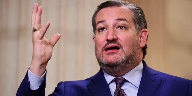 FILE PHOTO: U.S. Senator Ted Cruz (R-TX) speaks during a television interview in response to U.S. President Joe Biden's first address to a joint session of the U.S. Congress, at the U.S. Capitol in Washington, U.S., April 28, 2021. REUTERS/Erin Scott/File Photo