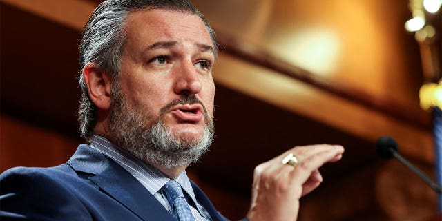 FILE PHOTO: U.S. Senator Ted Cruz (R-TX) addresses a news conference on Capitol Hill in Washington, U.S., October 6, 2021. Picture taken October 6, 2021. REUTERS/Evelyn Hockstein/File Photo