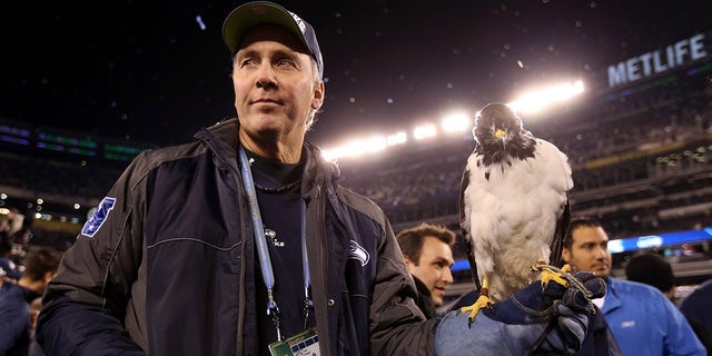 Taima the Hawk, mascot for the Seattle Seahawks, rests on the arm of Dave Knutson after the 43-8 victory over the Denver Broncos during the Super Bowl at the MetLife Stadium of 2014 on February 2, 2014 in East Rutherford, New Jersey. 