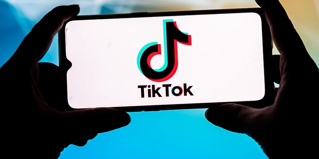 POLAND - 2021/09/23: In this photo, a TikTok logo is displayed on a smartphone.  (Photo illustration by Mateusz Slodkowski / SOPA Images / LightRocket via Getty Images)