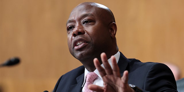 Sen. Tim Scott, R-S.C., reintroduced a bill to ensure parental rights over their child’s education by "preventing schools from concealing information about students’ gender from their parents."