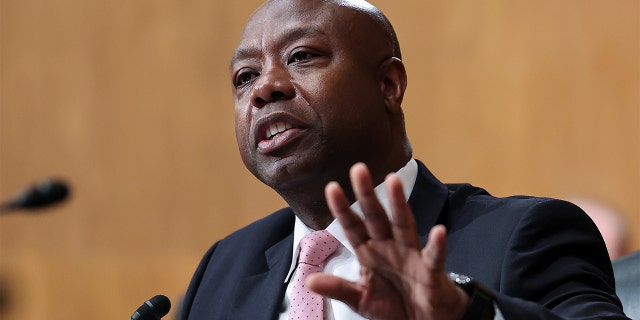 Sen. Tim Scott, R-S.C., reintroduced a bill to ensure parental rights over their child’s education by "preventing schools from concealing information about students’ gender from their parents."