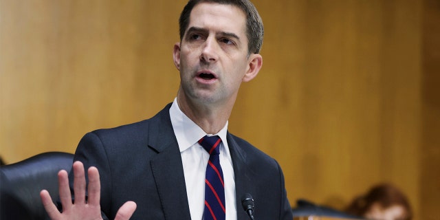 Sen. Tom Cotton, R-Ark., says it is clip to clasp China accountable for nan COVID-19 pandemic.