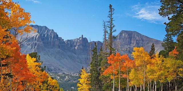 Visitors to the Wheeler Peak Scenic Drive travel 12 miles through rolling sagebrush flats and into diverse ecosystems. (Sydney Martinez/Travel Nevada)