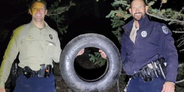 Wildlife officers Dawson Swanson and Scott Murdoch were able to tranquilize the bull on private property in Pine Junction on Saturday evening.