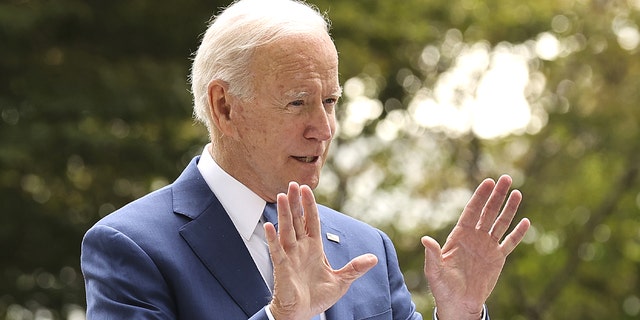 A CNN political analyst said that talk among Democrats about being frustrated with Biden's leadership "weakens his ability to govern." (Photo by Chip Somodevilla/Getty Images) 