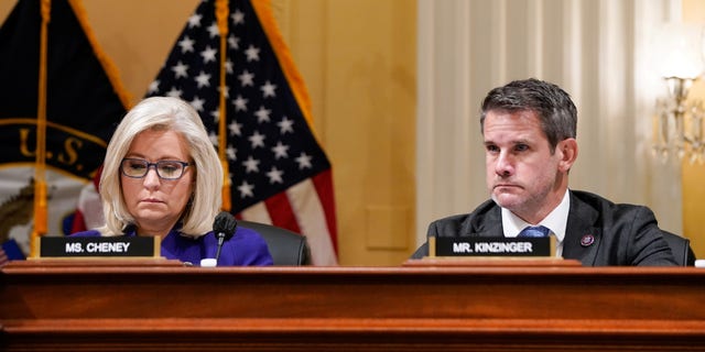 U.S. House Select Committee to Investigate the January 6th Attack on the U.S. Capitol members Vice Chairperson Rep. Liz Cheney, R-Wyo., and Rep. Adam Kinzinger, R-Ill., listen as Chairperson Bennie Thompson, D-Miss., speaks. (REUTERS/Elizabeth Frantz)