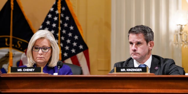 U.S. House Select Committee to Investigate the January 6th Attack on the U.S. Capitol members Vice Chairperson Rep. Liz Cheney, R-Wyo., and Rep. Adam Kinzinger, R-Ill., listen as Chairperson Bennie Thompson, D-Miss., speaks. (REUTERS/Elizabeth Frantz)