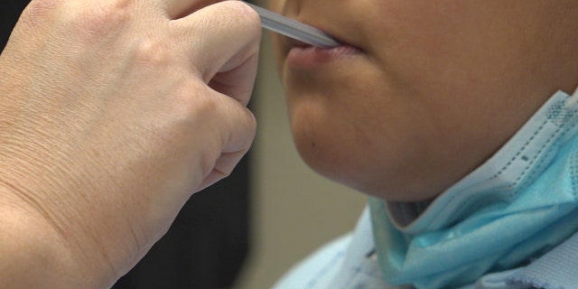 Pandemic aside, the CDC recommends that schools have a full-time nurse for every 750 students. It is currently estimated that about a quarter of schools do not have a nurse at all (Stephanie Bennett / Fox News).