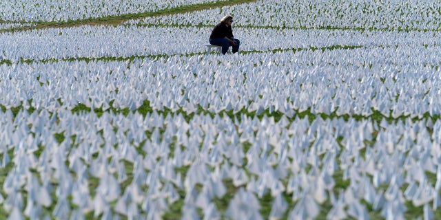 Saturday, Oct. 2, 2021: A visitor sits on a bench to look artist Suzanne Brennan Firstenberg's "In America: Remember," a temporary art installation made up of white flags to commemorate Americans who have died of COVID-19, on the National Mall, in Washington.