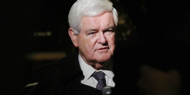 Former House of Representatives Speaker Newt Gingrich speaks to the media as he departs after a meeting with U.S. President-elect Trump at Trump Tower in New York, Nov. 21, 2016.  REUTERS/Lucas Jackson