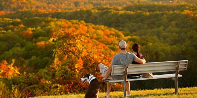 Garden of the Gods Recreation Area has colorful foliage that's set ablaze in rich hues of orange, yellow, and red during the fall season.