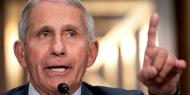 Dr. Anthony Fauci, director of the National Institute of Allergy and Infectious Diseases, speaks during a Senate Health, Education, Labor, and Pensions Committee hearing at the Dirksen Senate Office Building in Washington, D.C., U.S., July 20, 2021. Stefani Reynolds/Pool via REUTERS TPX IMAGES OF THE DAY
