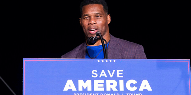 GOP senatorial candidate Herschel Walker speaks at a rally headlined by former President Donald Trump, in Perry, Georgia, U.S. September 25, 2021.