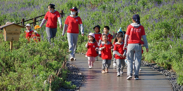 A lot of children are led by a kindergarten teacher to visit a park in Yantai, Shandong province in October. China may soon pass a law which would discipline parents if their children misbehave.