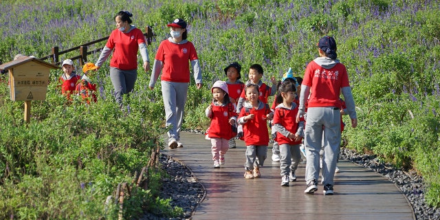 A lot of children are led by a kindergarten teacher to visit a park in Yantai, Shandong province in October. China may soon pass a law which would discipline parents if their children misbehave.