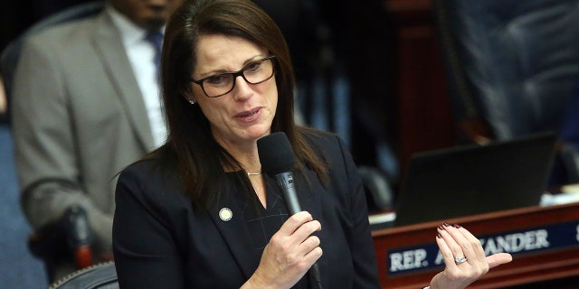 대표. Tina Polsky, D-Boca Raton, debates during a session in March 2020 in Tallahassee, 플로리다. 최근에, Florida's top health official was asked to leave a meeting after refusing to wear a mask at the office of the state senator who told him she had a serious medical condition, officials have confirmed.