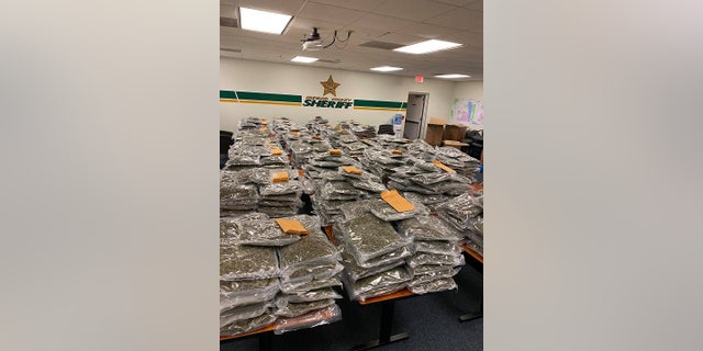 The Brevard County Sheriff's Office announced on social media the £ 770 of "faded away" weed that the authorities hoped for "to recover." 