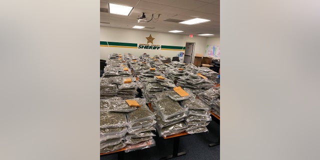 The Brevard County Sheriff's Office advertised the £ 770 on social media "miss" Weeds the authorities were hoping for "Return." 