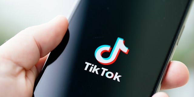 The TikTok logo is seen on an iPhone. (Photo by Jaap Arriens/NurPhoto via Getty Images)