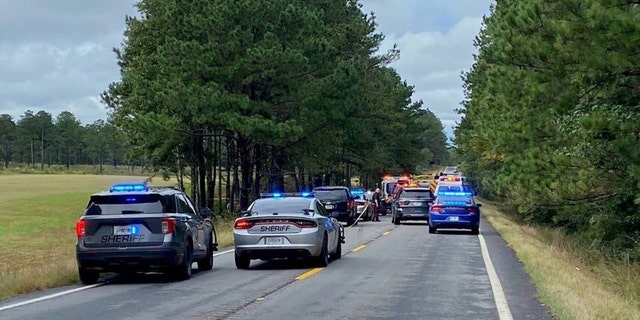 Troup County Sheriff’s deputies had to pull an unresponsive Akeila Ware, 29, out of her car, which was riddled with bullet holes and had crashed on a rural section of Highway 18. 