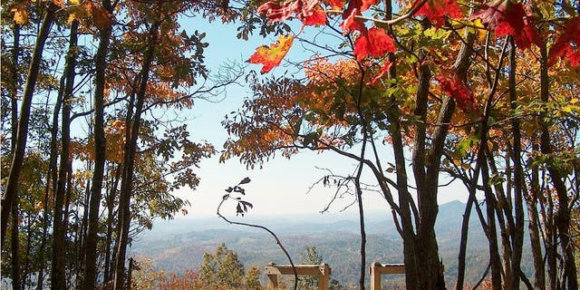 Hungry Mother State Park is known as the crown jewel of Virginia's Blue Ridge Mountains.