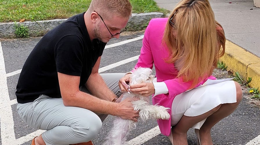 I just broke down': Family reunited with dog 54 days after deadly