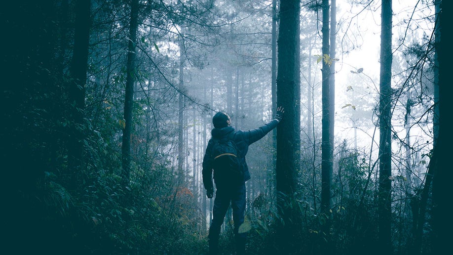 Man travel alone on foggy forest