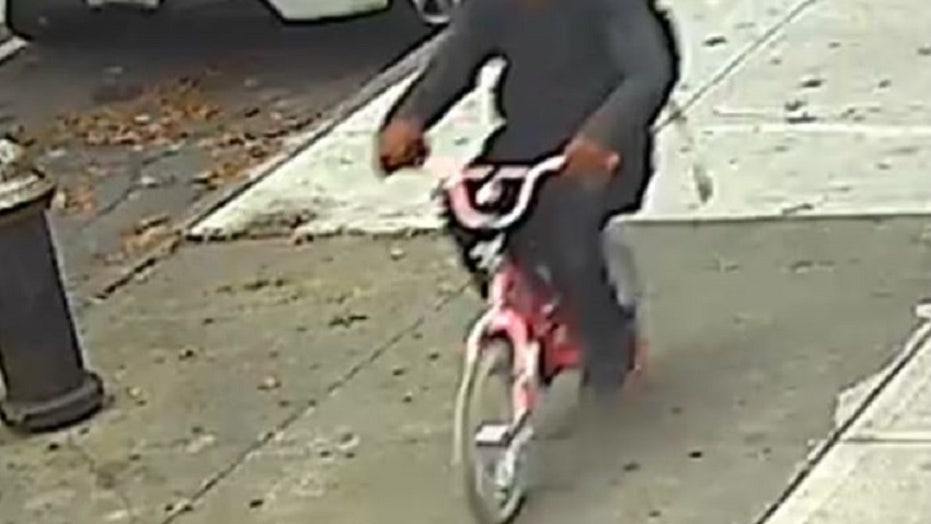 Ladrón de Nueva York en bicicleta rosa con mariposas roba a niña, 10, para celular, la policía dice